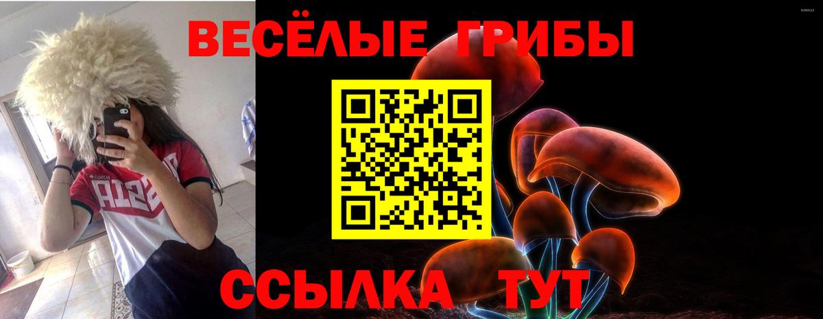 Ковров  Галлюциногенные грибы Magic Shrooms  Вход с VPN  Галлюциногенные грибы мухоморы 